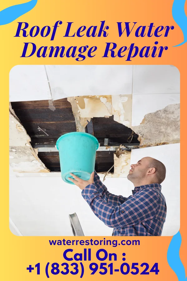 Roof Leak Water Damage Repair in Hixton, WI